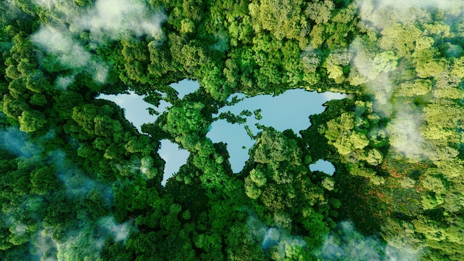 Seen in der Form der Weltkontinente sind umgeben von Wald