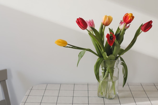 Bunter, leicht hängender Tulpenstrauss in einer zu kleinen Vase