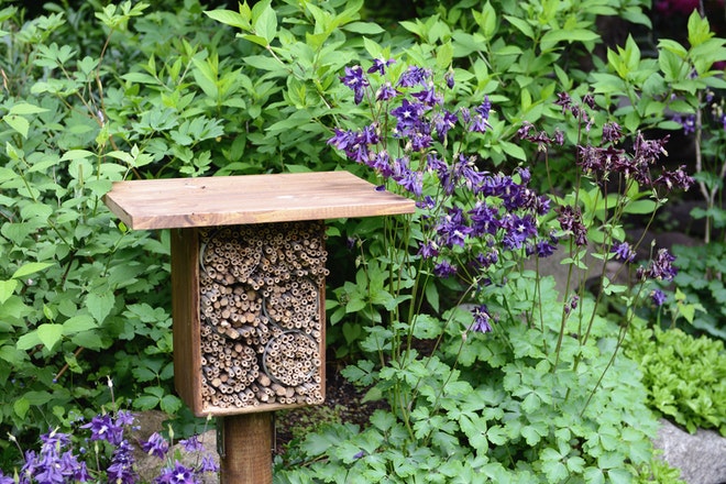 Mit einem Insektenhotel kannst du einigen Wildbienenarten helfen.