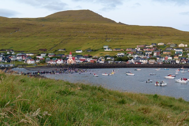 Eine Bucht auf den Färöer-Inseln, in die Grindwale getrieben wurden