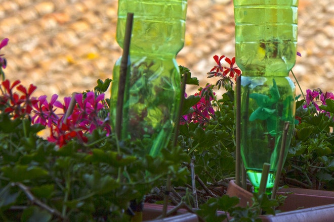 Zwei grüne PET-Flaschen stecken in Blumenkästen