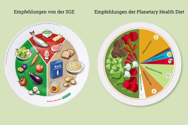 Symbolische Teller aufgeteilt nach Empfehlungen der SGE und der Planetary Health Diet