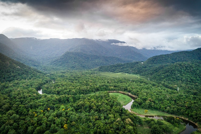 Blick auf den Regenwald in Brasilien
