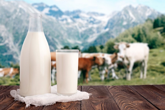 Milch in einer Flasche und im Glas - im Hintergrund Kühe auf der Alp