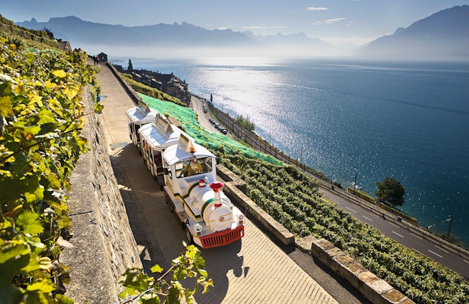 Der Lavaux Panoramic Zug auf Rädern fährt durch die Weinreben