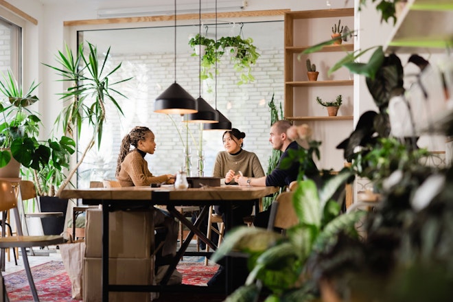 Drei Personen in einem Büro mit Pflanzen sitzen an einem Tisch