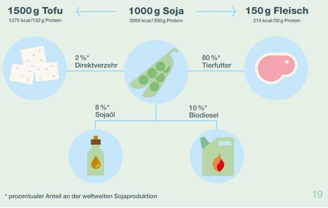 Grafik zur verschiedenen Verwendung von Soja. 80 Prozent davon werden zu Tierfutter.