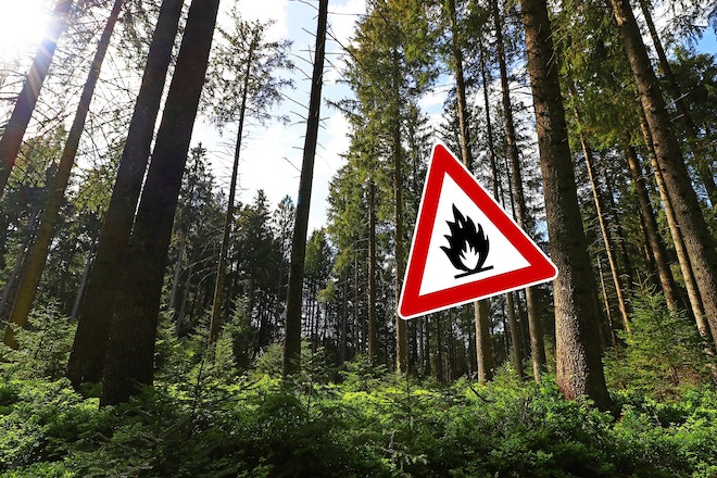 Ein Warnschild mit einer Flamme drauf steht mitten im Wald