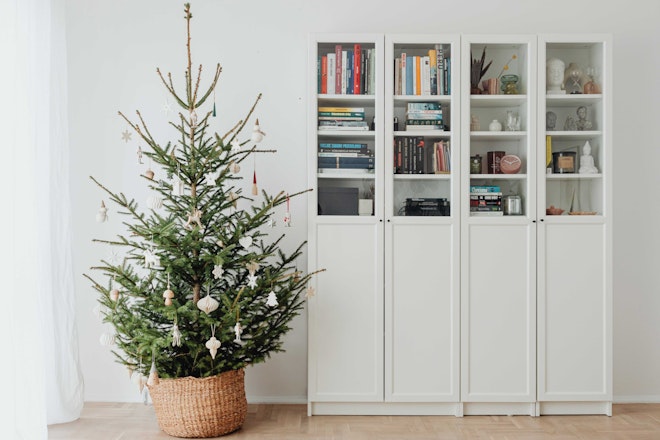 Ein Weihnachtsbaum in einem Topf steht in einem Wohnzimmer