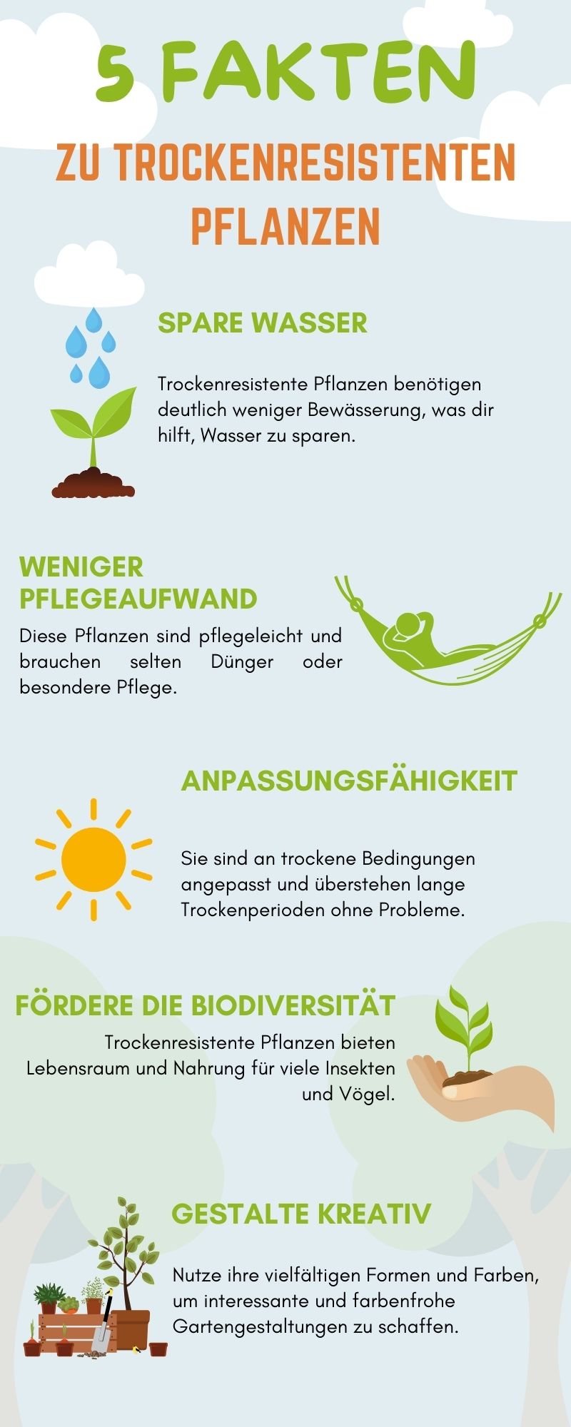 Infografik, die fünf Fakten zu trockenresistenten Pflanzen zeigt