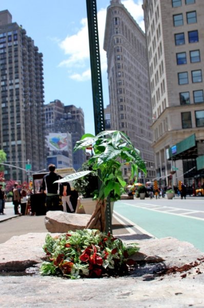 Blumen vor dem New Yorker Flatiron Building