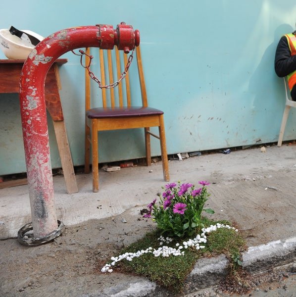 Guerilla Gardening: Künstlerische Blumen-Arrangements
