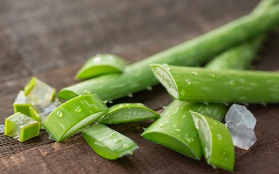 Hausmittel gegen Pickel: Aloe Vera wirkt beruhigend