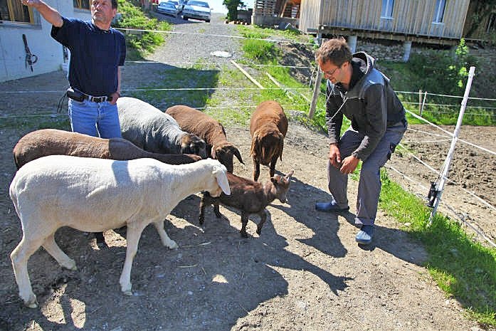Gnadenhof Schweiz: Vaikuntha gibt Tieren zweite Chance
