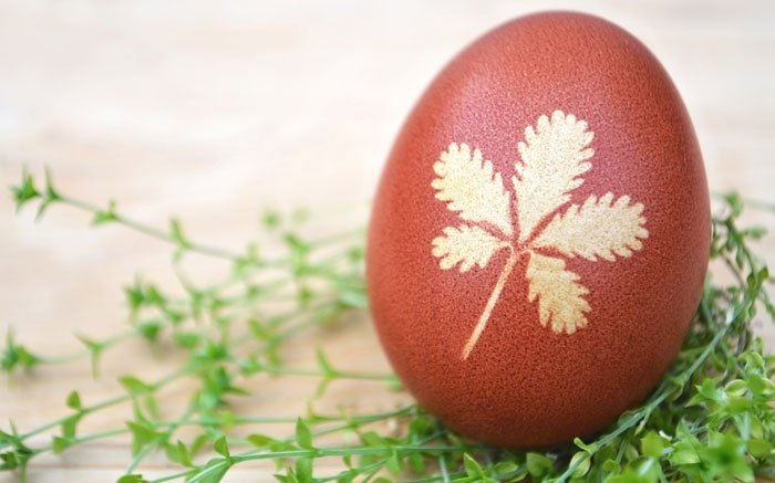 Bild: 3 - Ostereier marmorieren: Schöne Pflanzenmotive auf die Eier färben