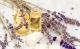 Hausmittel gegen Mückenstiche: Lavendelöl desinfiziert gut