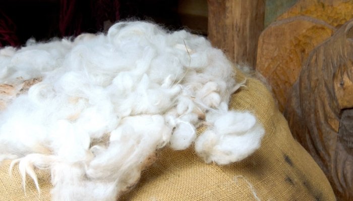 Natürliches Dämm-Material: Schafwolle