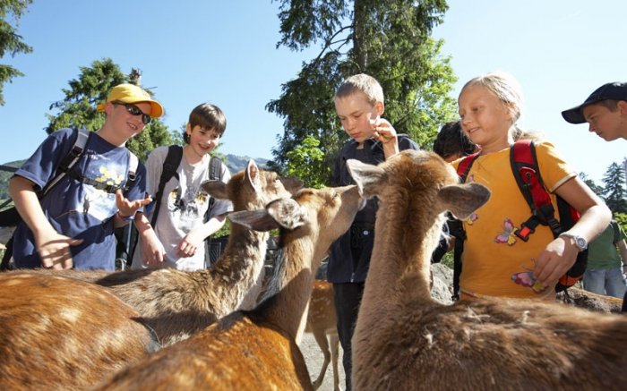Der Tierpark Goldau bietet wilde Tiere zum Anfassen