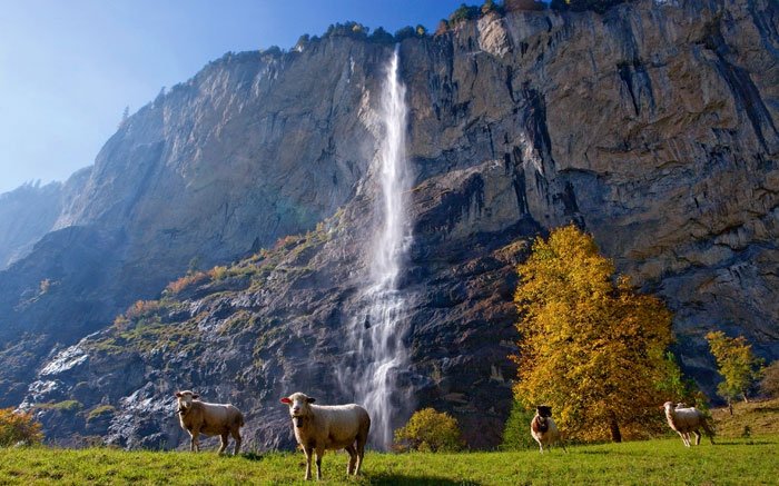 Der Staubbachfall im Lauterbrunnental: Der zweithöchste Wasserfall der Schweiz