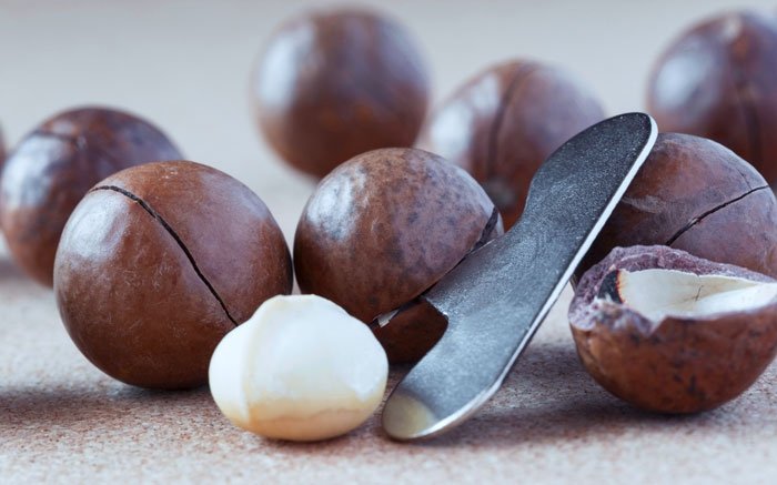 Königin der Nüsse: Die Macadamia schützt Herz und Kreislauf