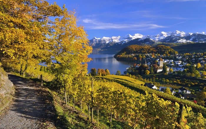 Jakobswege in der Schweiz: Schöne Strecken in der Natur nicht nur für Pilger