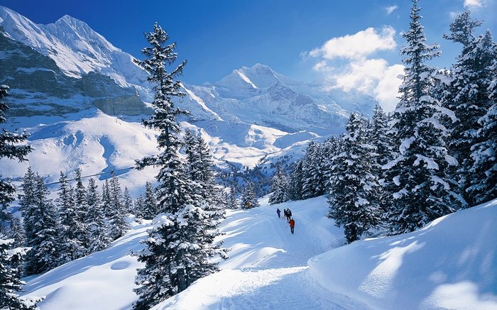 100 Kilometer langes Winterwanderwege-Netz erkunden