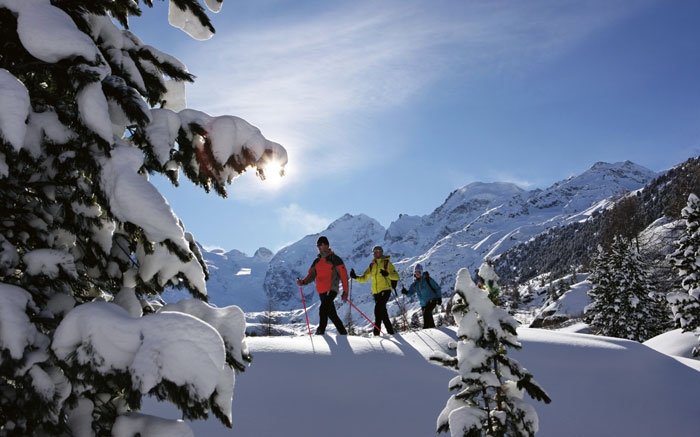Aussicht auf den verschneiten Piz Bernina beim Wandern geniessen