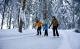 Natureisbahn durch verschneite Wälder: Skateline Albula auf einem Wanderweg