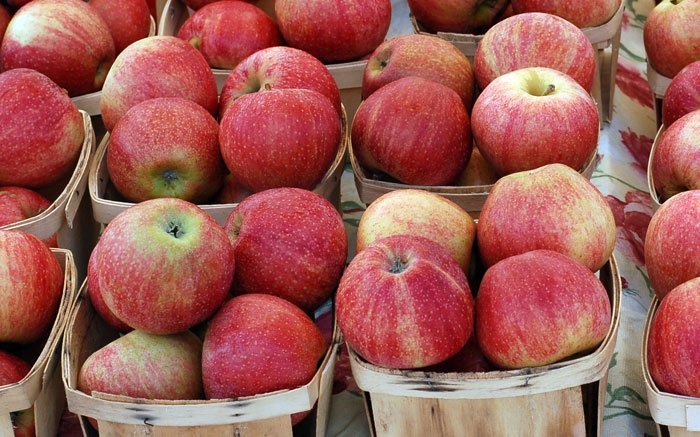 Eine klassische Winterfrucht aus der Schweiz: Der süsse bis säuerliche Apfel