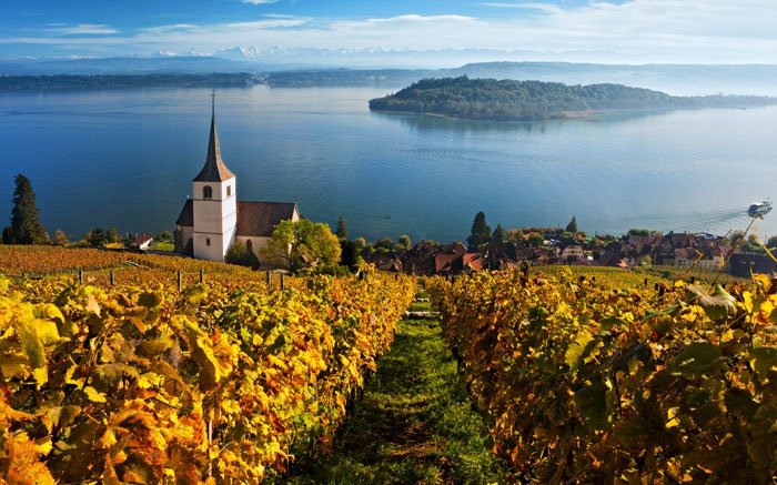 Weinwanderung am schönen Bielersee in der Schweiz
