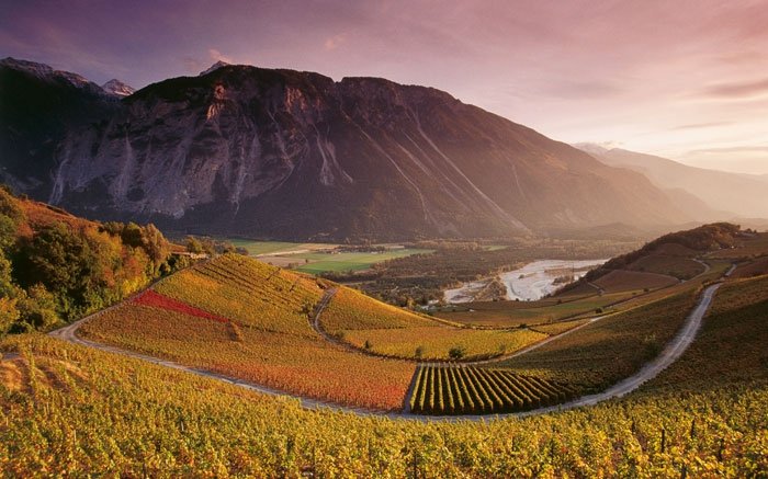 Weinwanderung über den Walliser Weinweg: Land und Kultur erleben