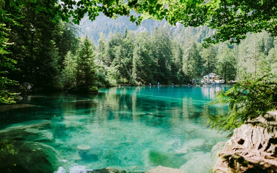 Bergsee mit kristallblauem Wasser: Der Blausee