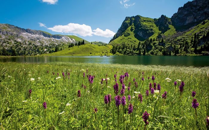 Kraftorte der Schweiz: Stille Seen dienen der Erholung