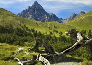 Beim Wandern die wilde Natur im Nationalpark Schweiz entdecken