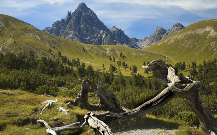 Im Tal der Murmeltiere und Rothirsche: Val Mingèr