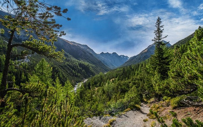 Wildes Val Cluozza: Die Anfänge des Nationalpark Schweiz