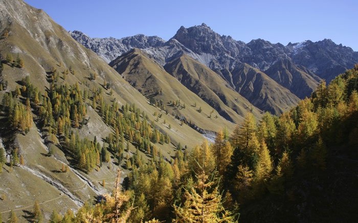 Herrliche Landschaften und Wildtiere entdecken im Val Trupchun