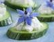 Essbare Blüten: Blaue Blüten des Borretsch überraschen im Geschmack