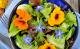 Essbare Blüten: Stiefmütterchen bringen Farbe ins Gericht