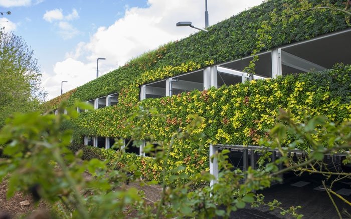 Grüne Wand schafft Sinnes- und Erholungsoase für Städter
