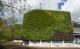 Grüne Wand schafft Raum für die Natur direkt in der Stadt