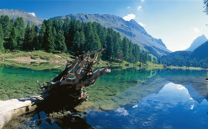 Palpuognasee: Der schönste Fleck der Schweiz mitten im Parc Ela