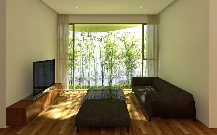 Bambuspflanzen vor dem Fenster schützen vor Sonne