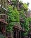 Baumhaus der Zukunft: Grüne Pflanzen halten schlechte Luft ab