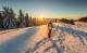 Schneeschuhlaufen im Park von nationaler Bedeutung in Thal