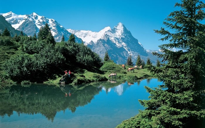 Über die schönsten Alpenpässe: Via Alpina