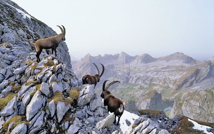 Landschaften wie aus einer anderen Welt bieten die Schweizer Alpen