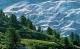 Schweizer Alpen: Aletschwald und Aletschgletscher im Wallis