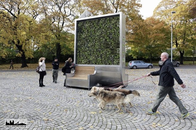 City Tree: Moos filtert neben CO2 auch Stickoxide und Feinstaub aus der Luft