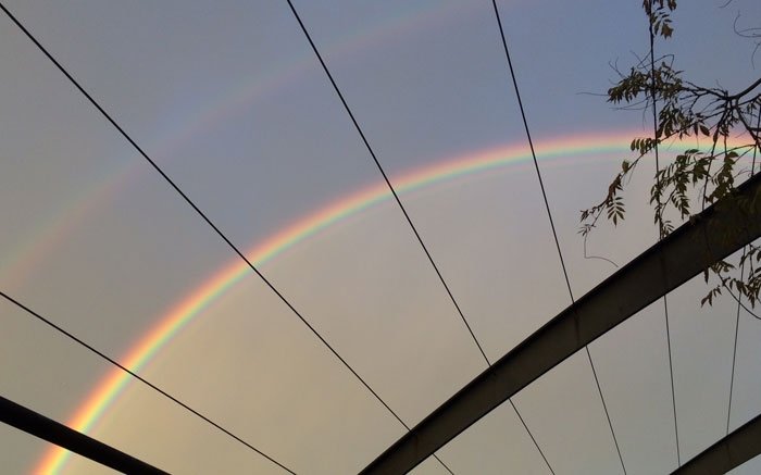 Doppelregenbogen über Zürich: So kommt er zustande